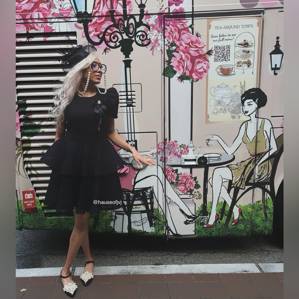 Black Dress (brooch on dress not included)